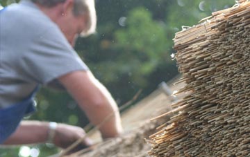 professional Plemstall thatchers