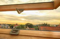 rated Plemstall roof window companies